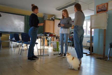 delavnica_tufting (5)